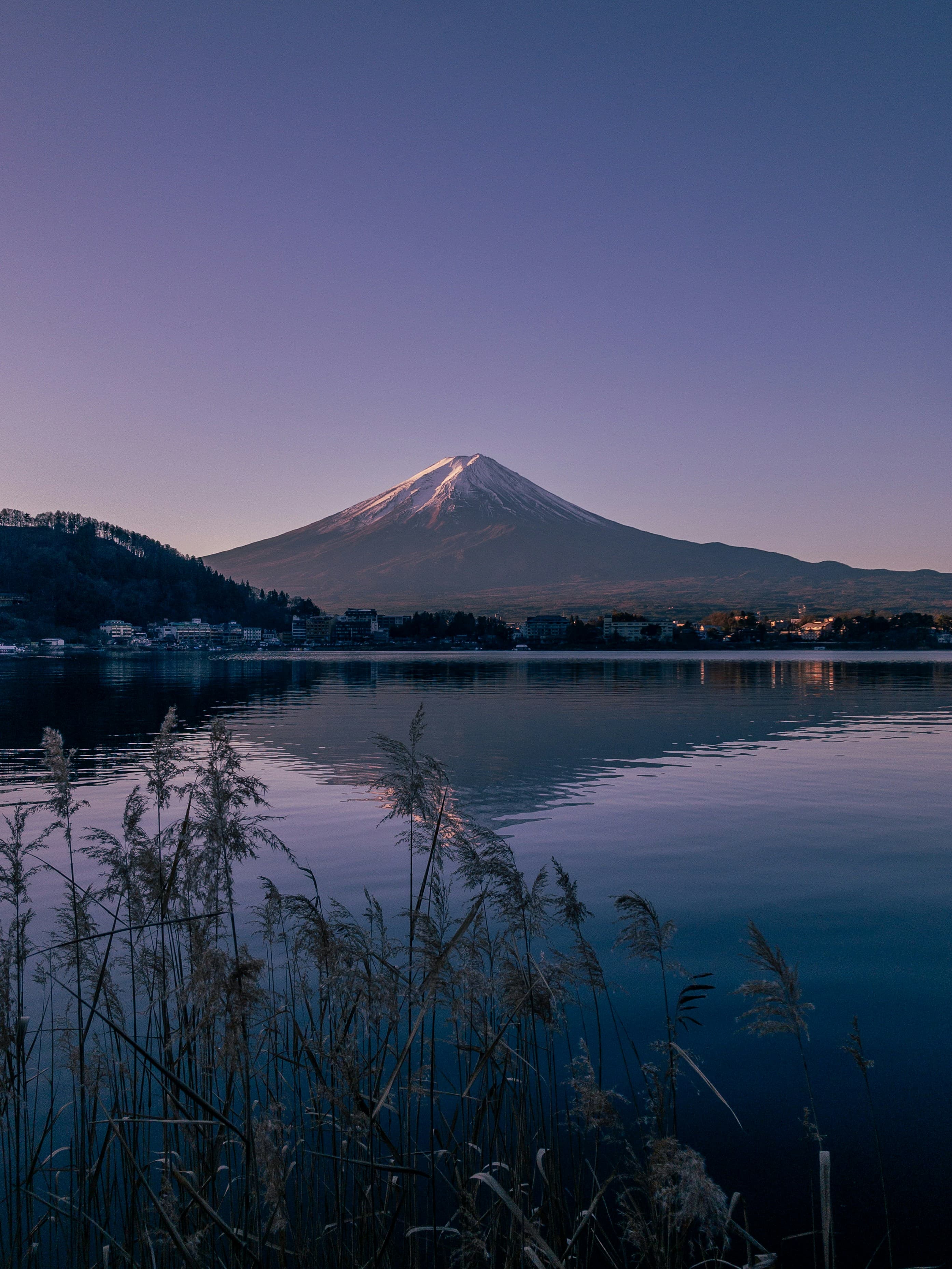 Mount Fuji at twilight reflected in a lake with silhouetted reeds in the foreground